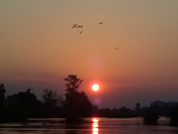 Fugle i solnedgangen over Mekong