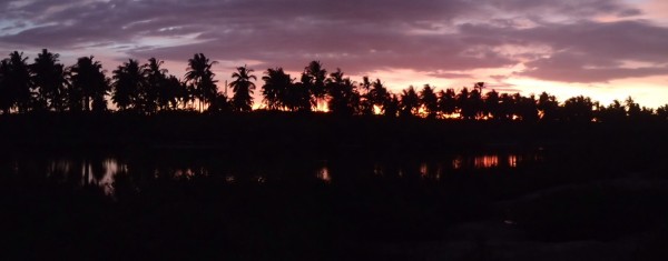 Palmer i solnedgangen på Bantayan